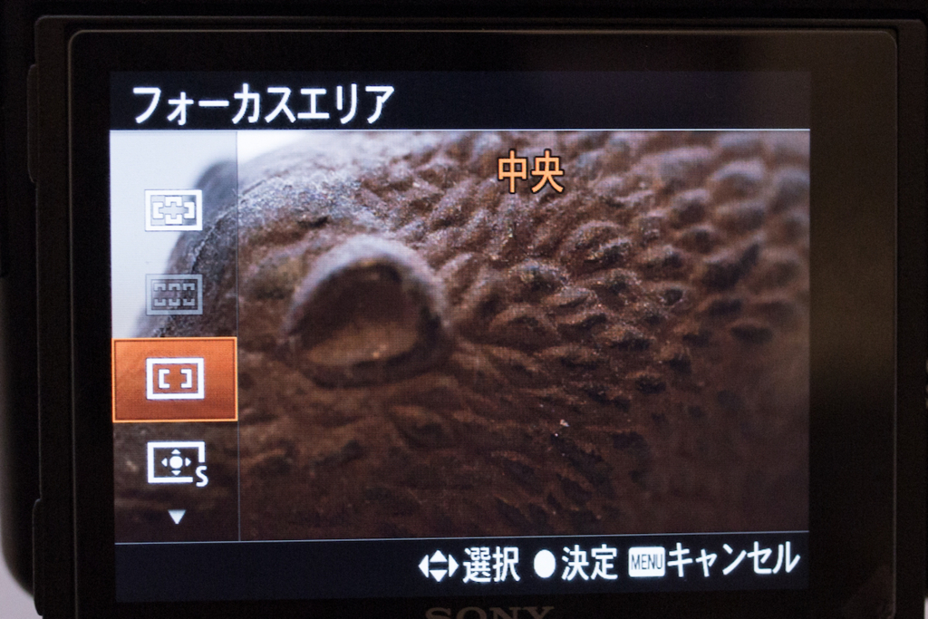f:id:drone_skyfish:20180217170611j:plain f:id:drone_skyfish:20180217170611j:plain