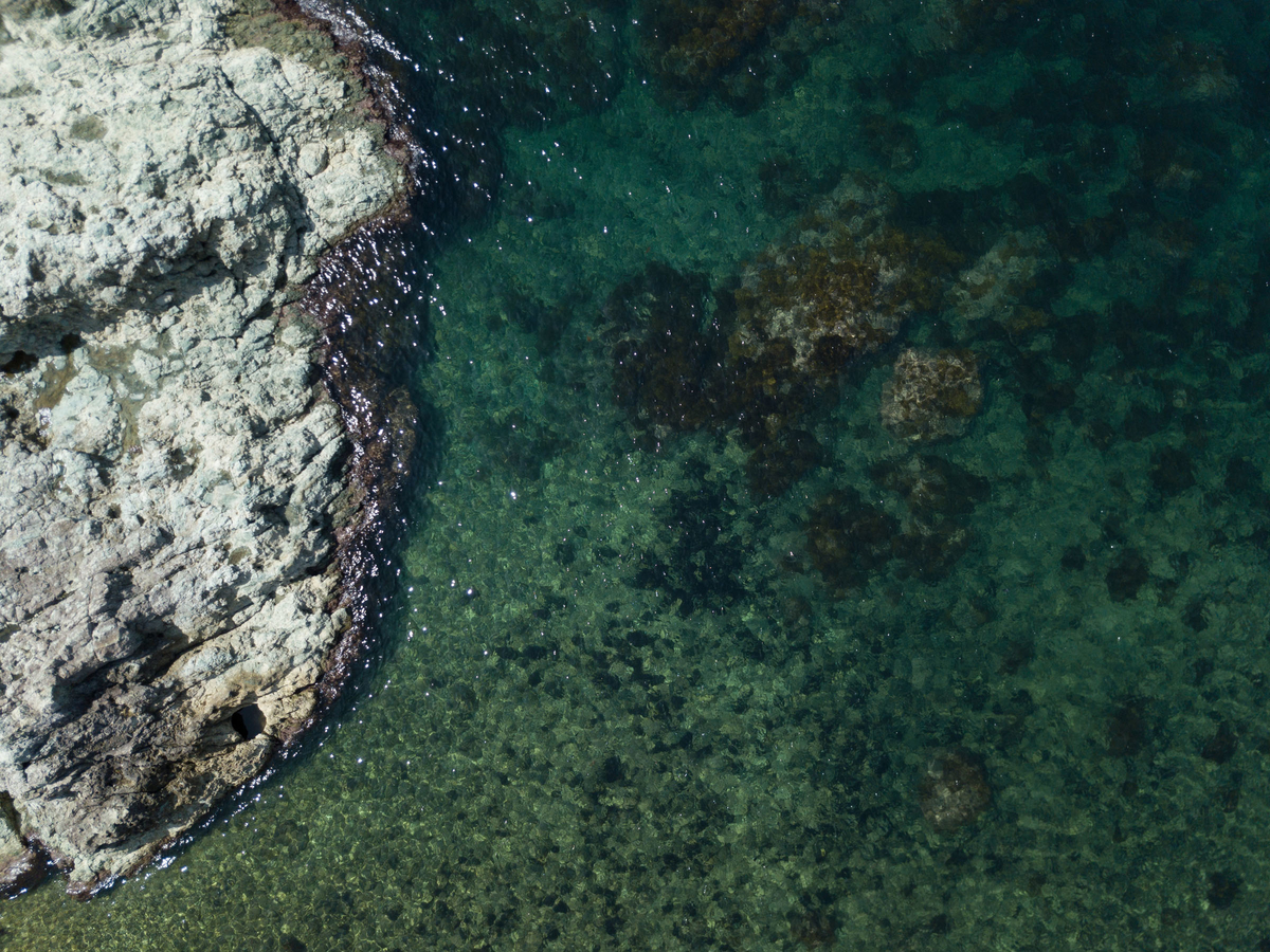 Mavic ProとMavic2 Proの写真比較