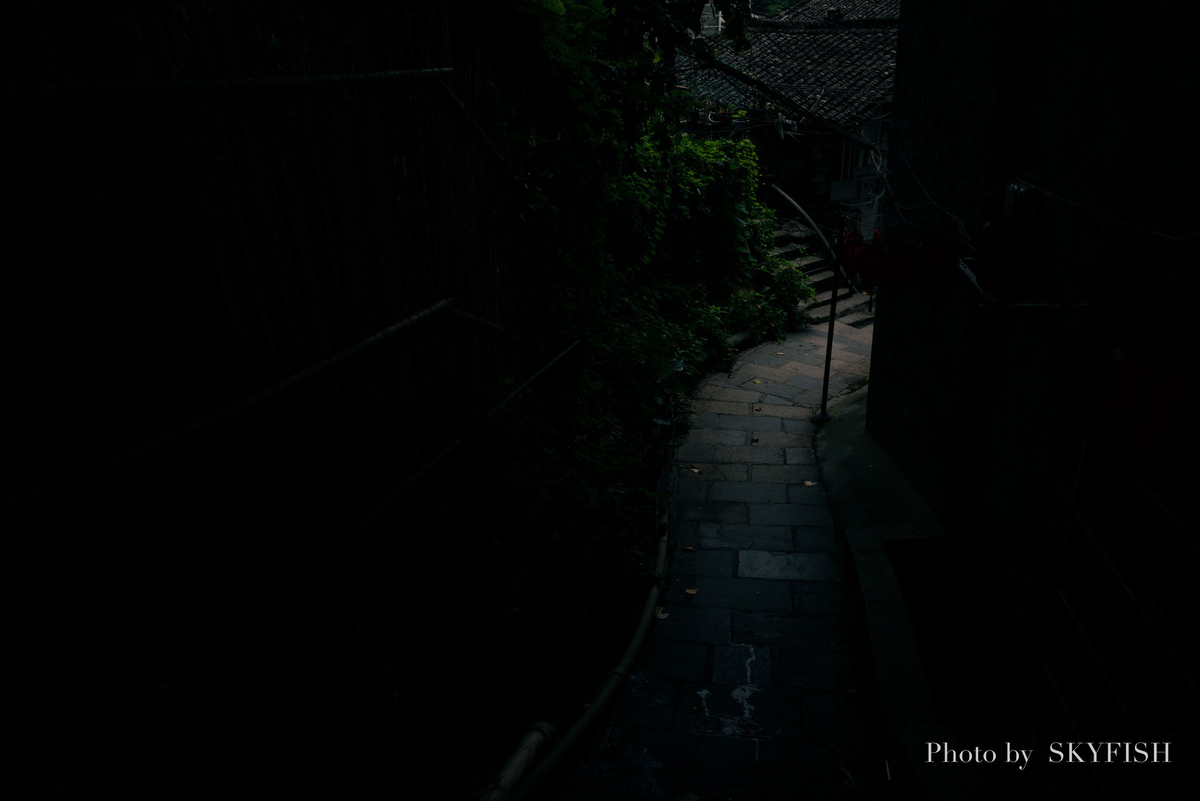 カメラ SONY α7RIII + SIGMA 24-105mm F4 DG OS HSMで撮影