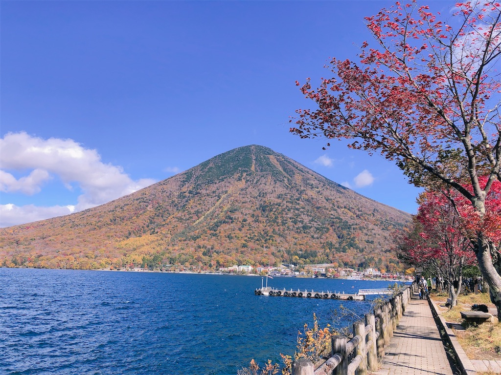 f:id:droprop123:20201028200411j:image