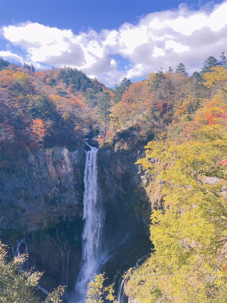 f:id:droprop123:20201028200418j:image