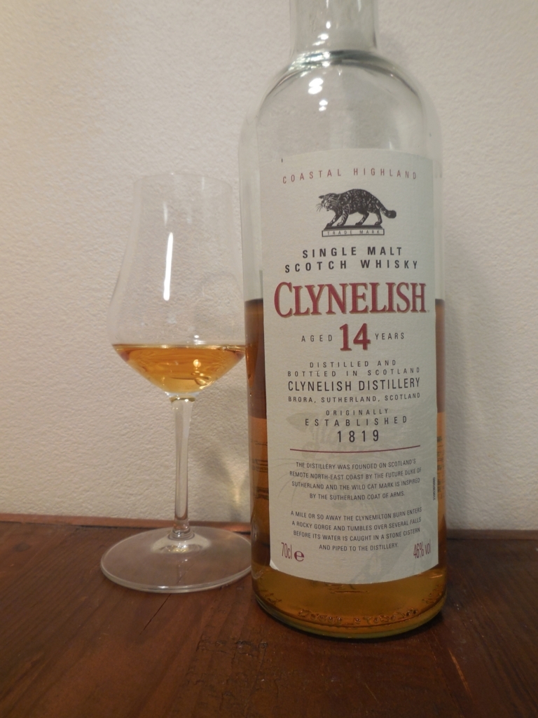 クライヌリッシュ14年 インターン ベトナム