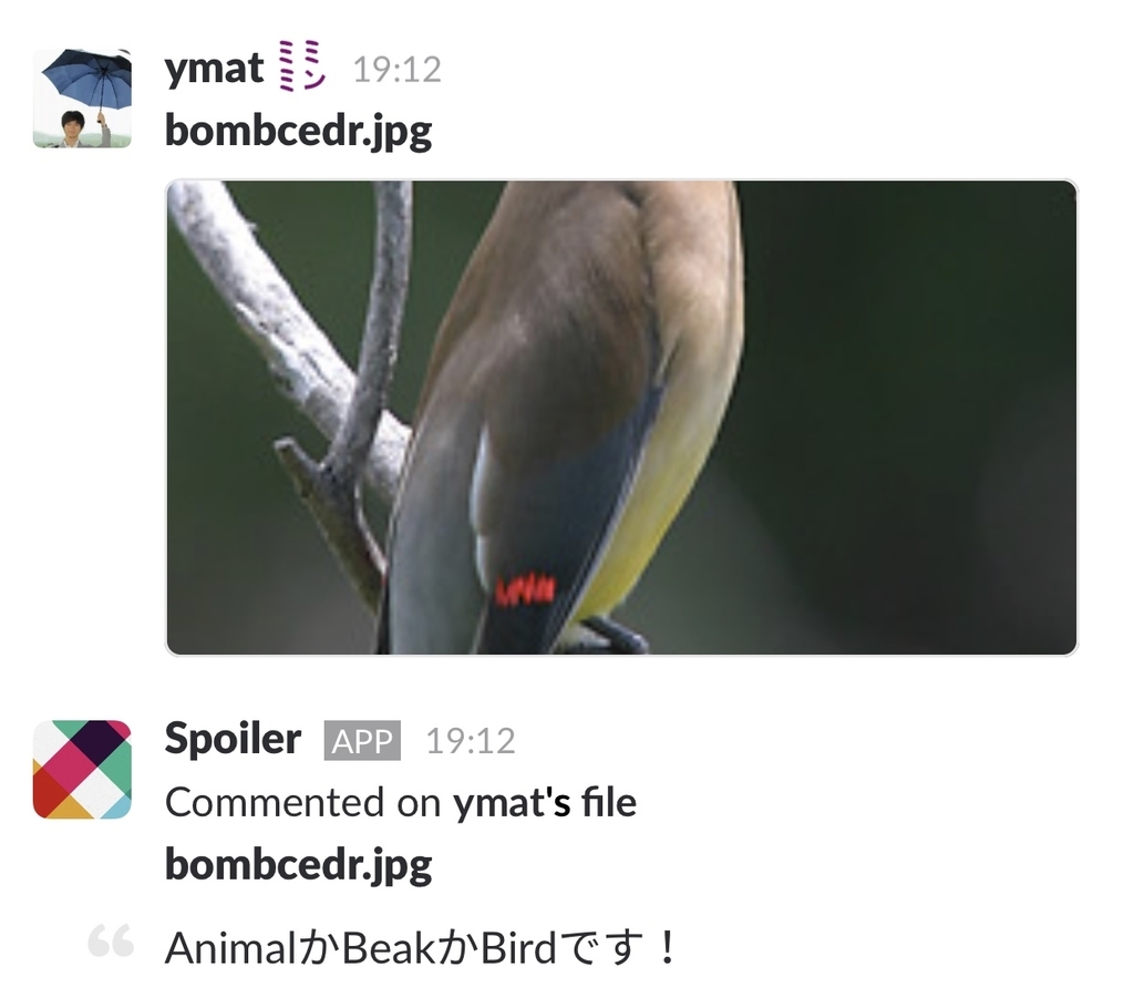 鳥