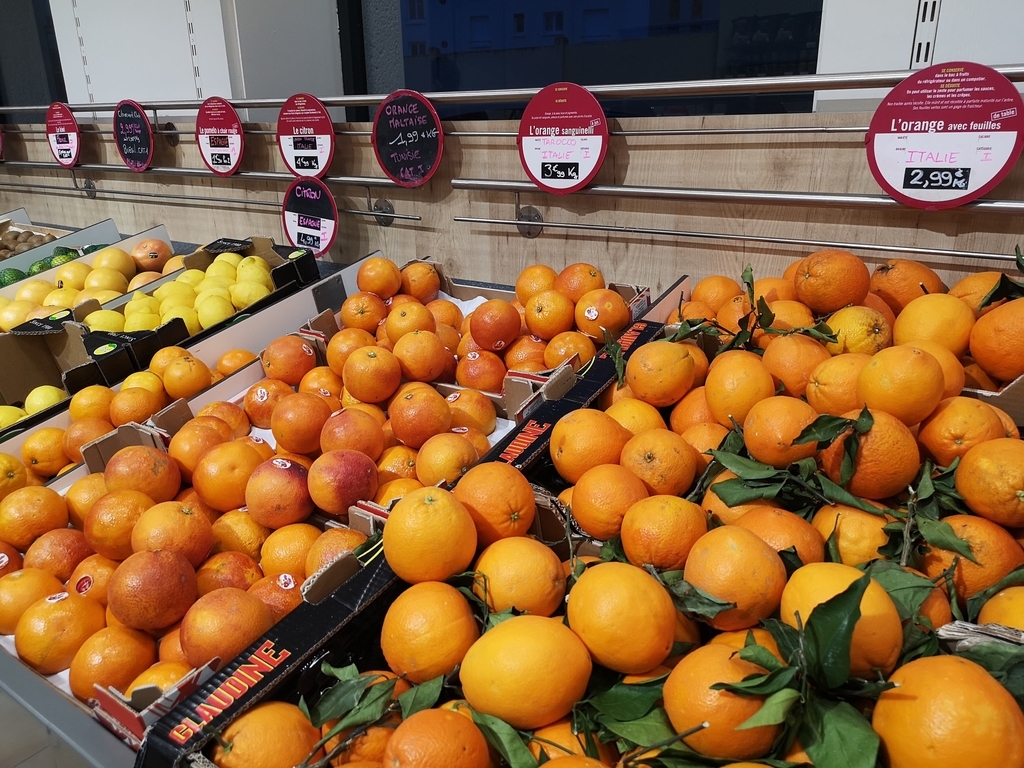 f:id:drssl:20190310073858j:plain