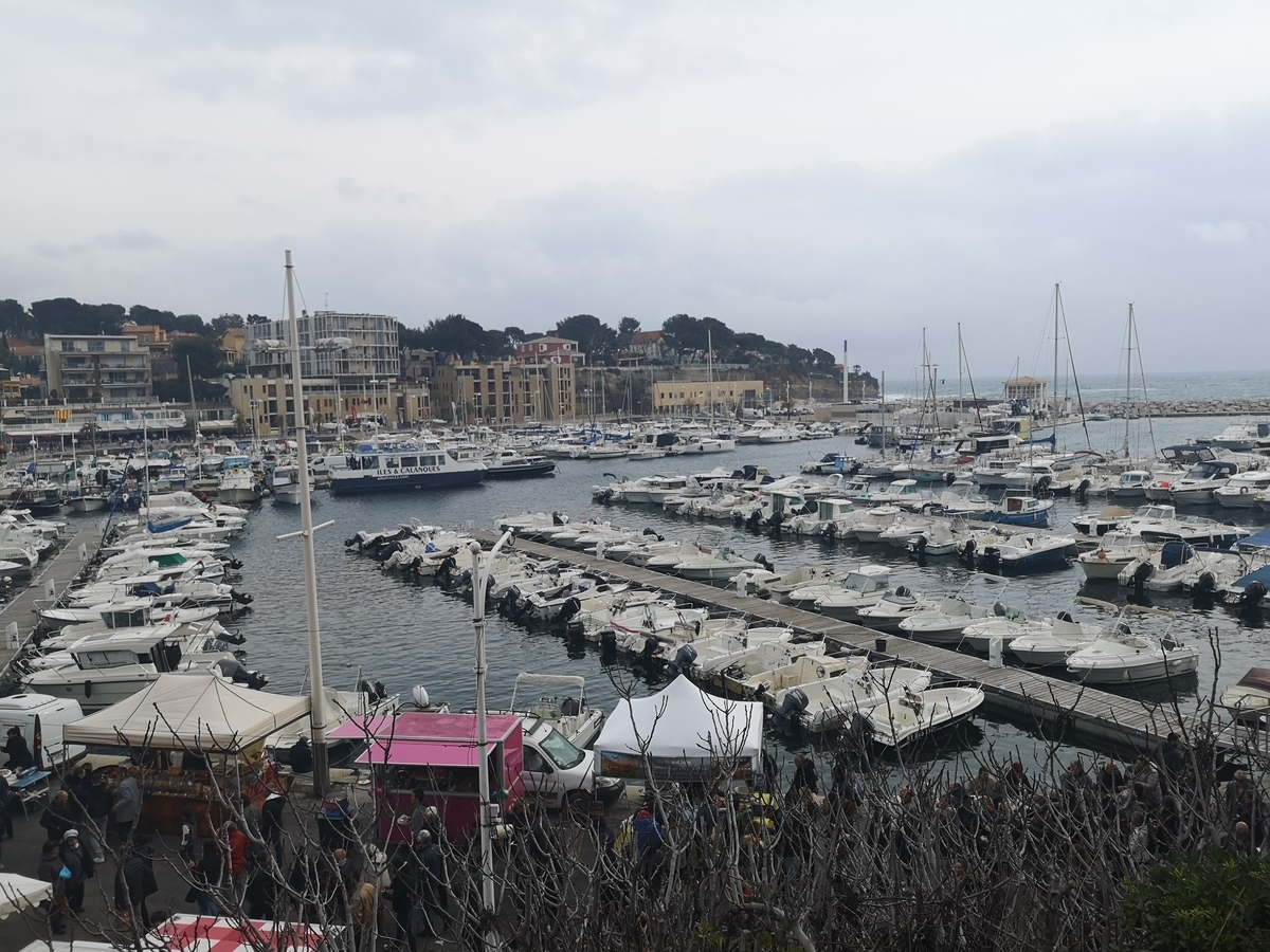 f:id:drssl:20190401073922j:plain