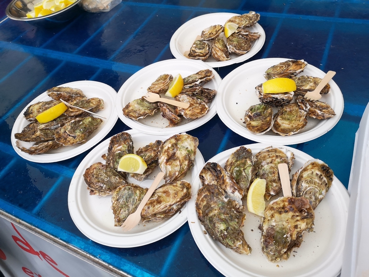f:id:drssl:20190401074011j:plain