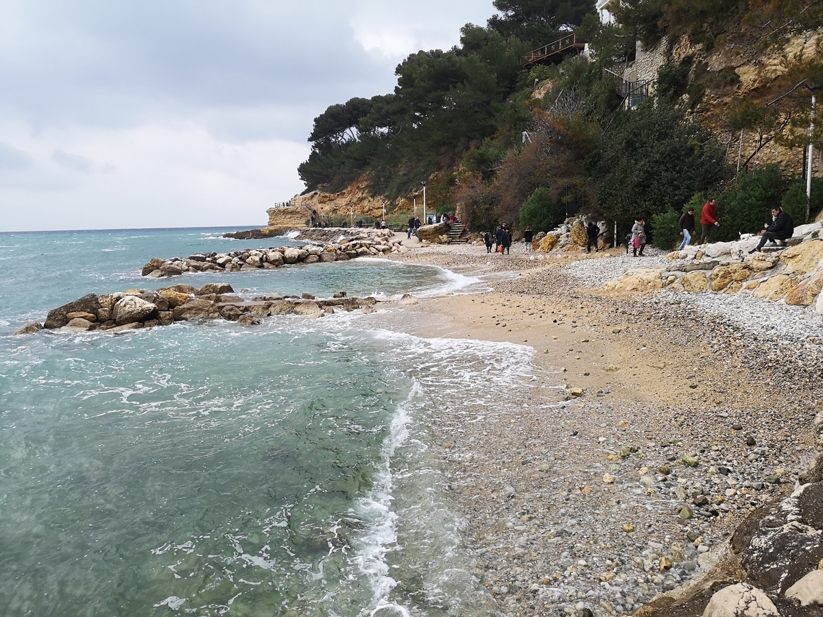 f:id:drssl:20190401074022j:plain