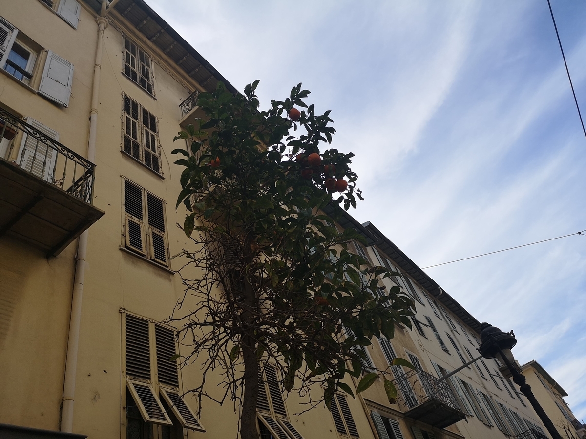 f:id:drssl:20190402070918j:plain