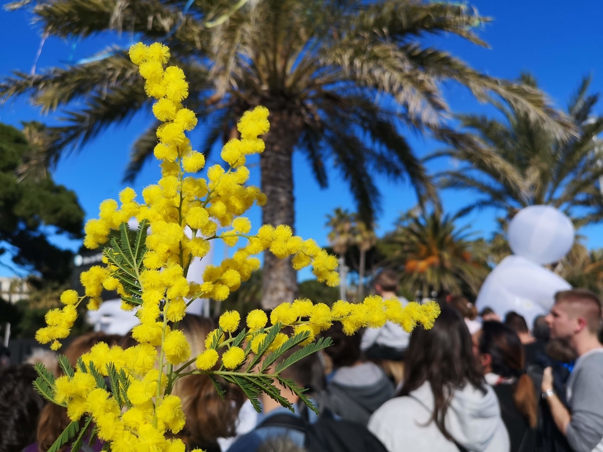f:id:drssl:20190402071054j:plain
