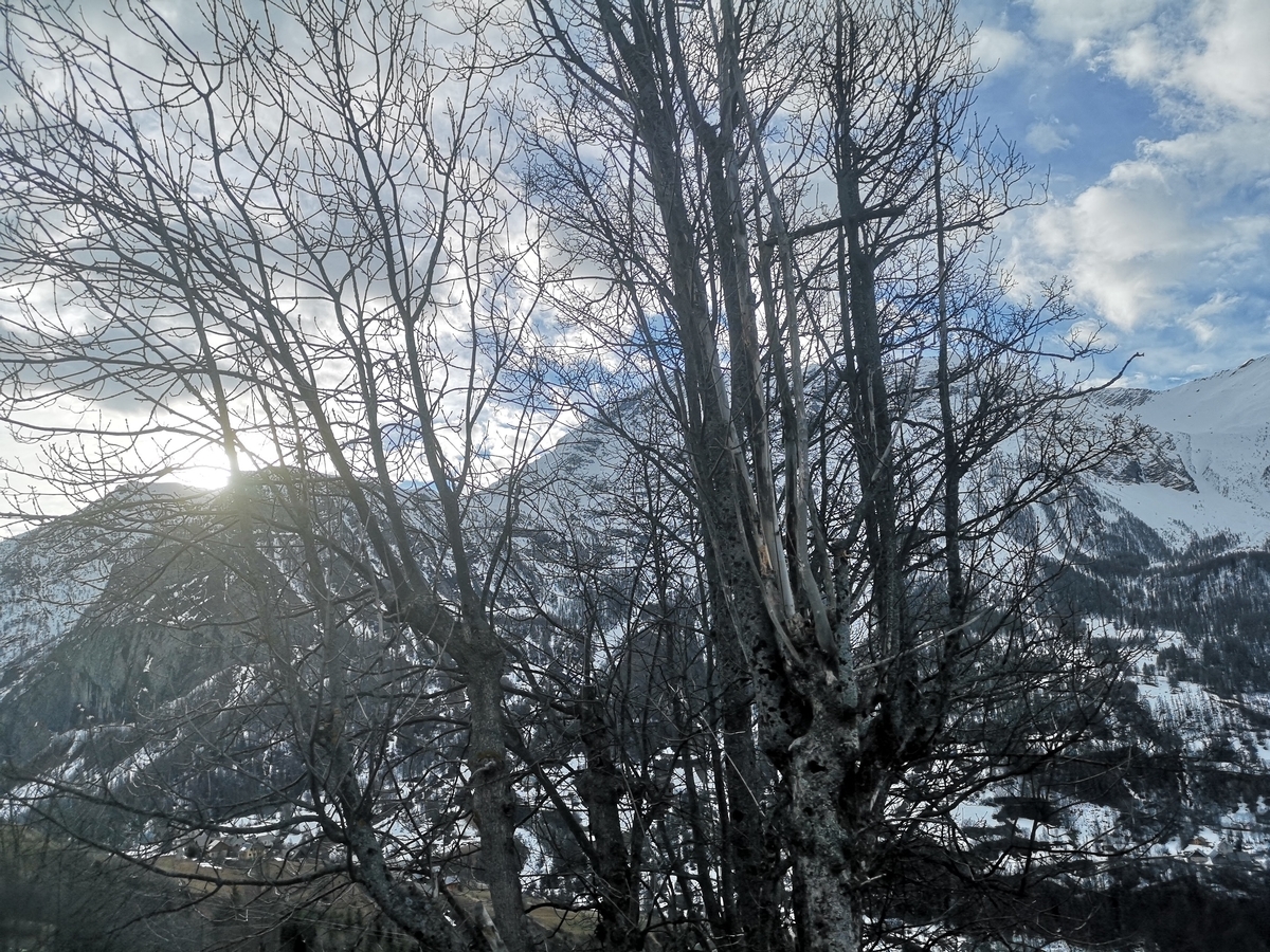 f:id:drssl:20190607054236j:plain