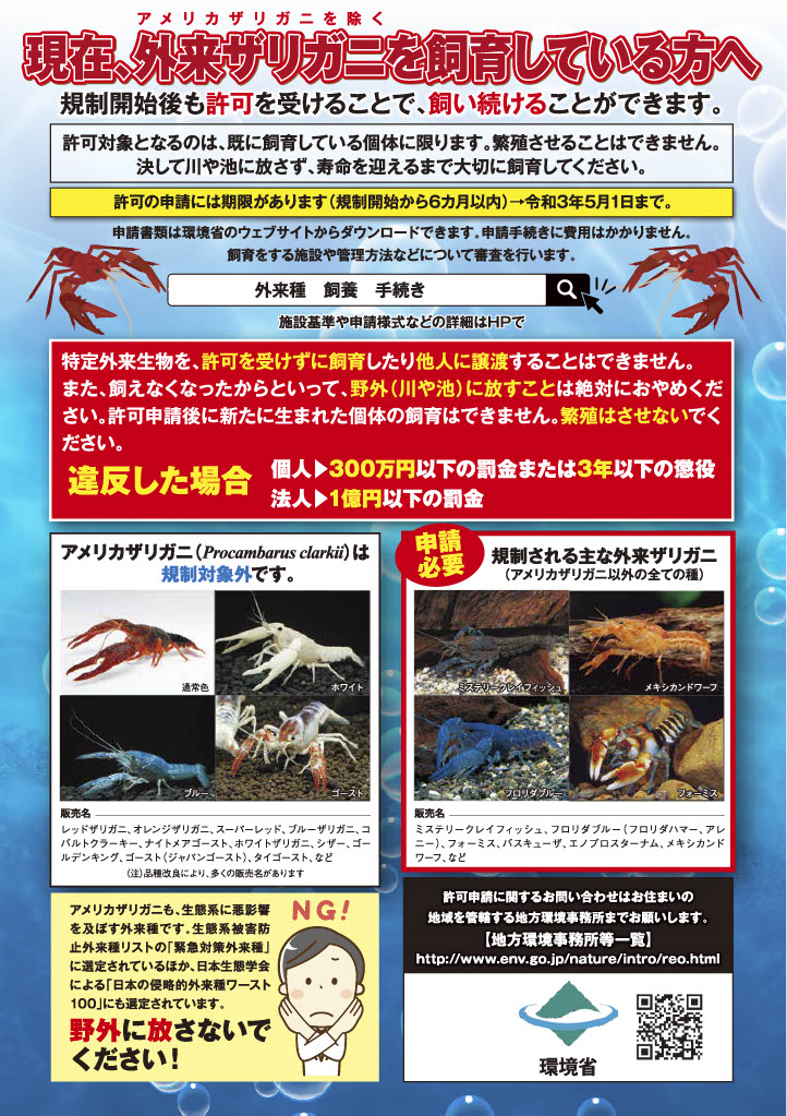 f:id:druid67:20210103094437j:plain