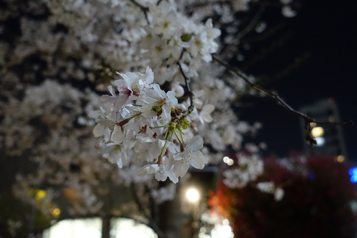 f:id:drum3dai:20190408153656j:plain f:id:drum3dai:20190408153656j:plain
