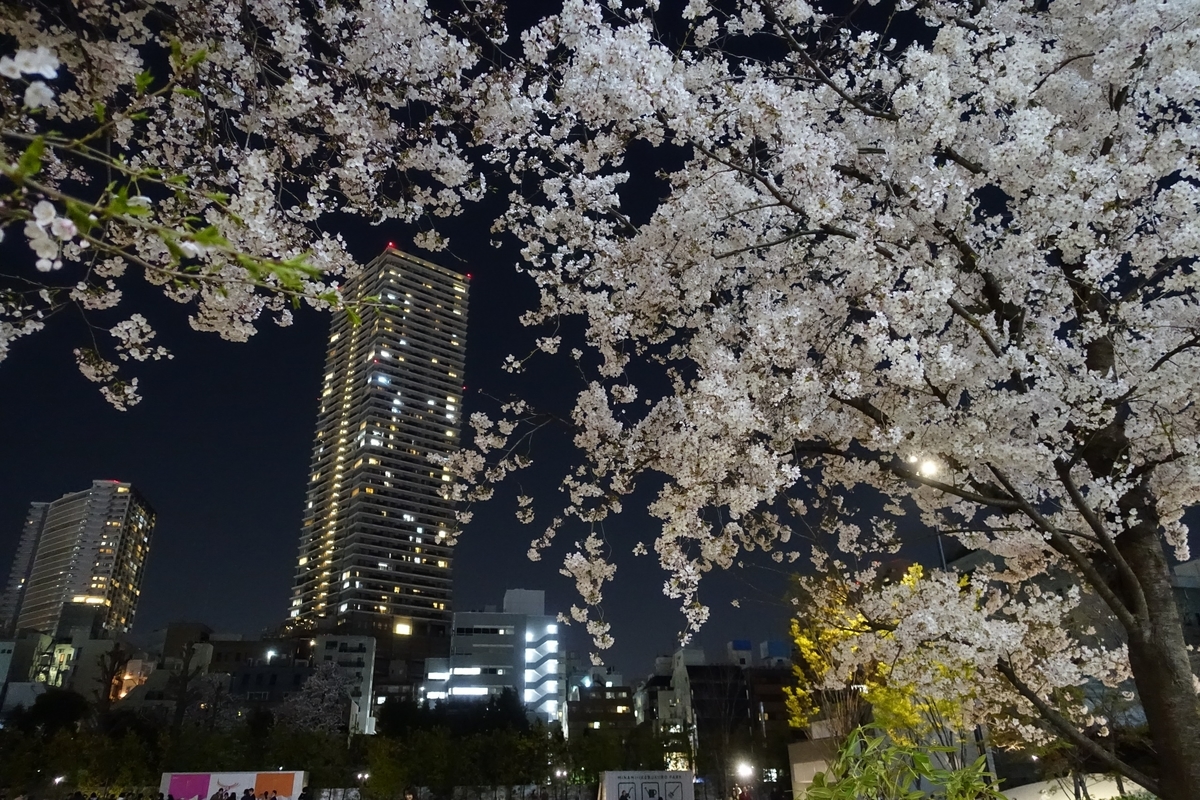 f:id:drum3dai:20190408153712j:plain f:id:drum3dai:20190408153712j:plain