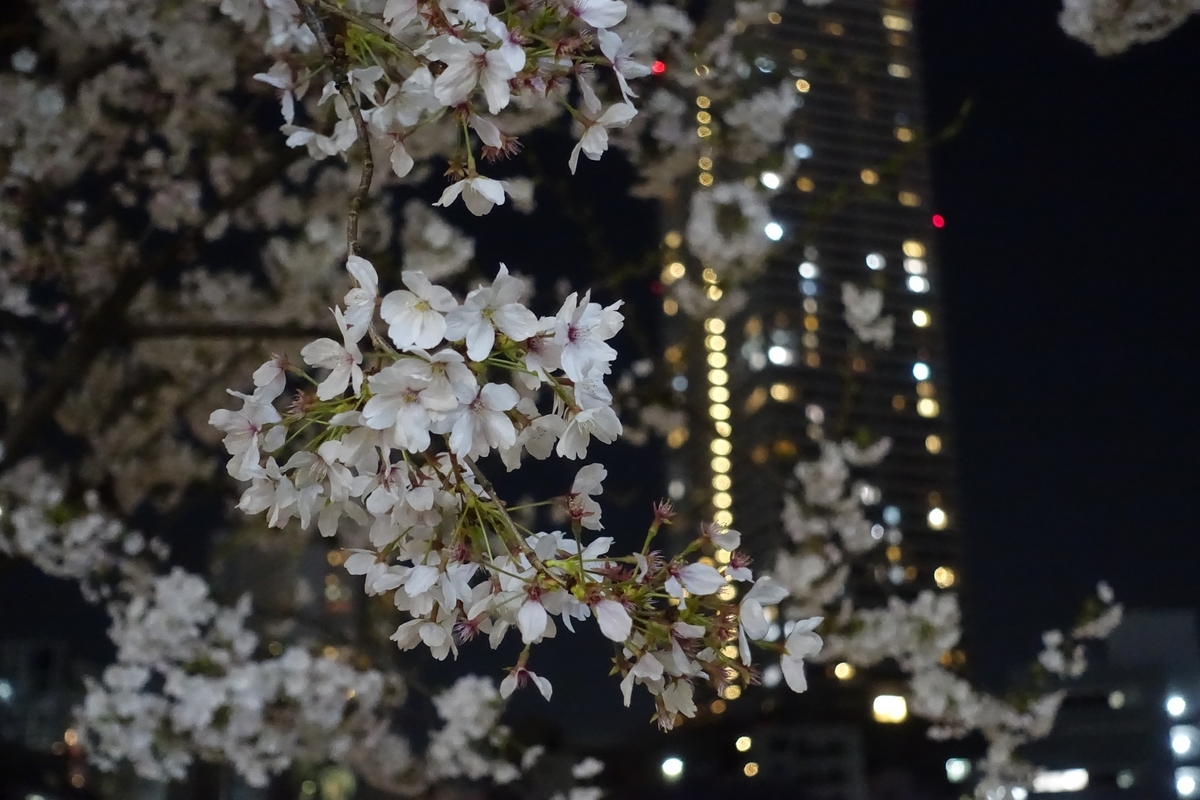 f:id:drum3dai:20190408153717j:plain f:id:drum3dai:20190408153717j:plain