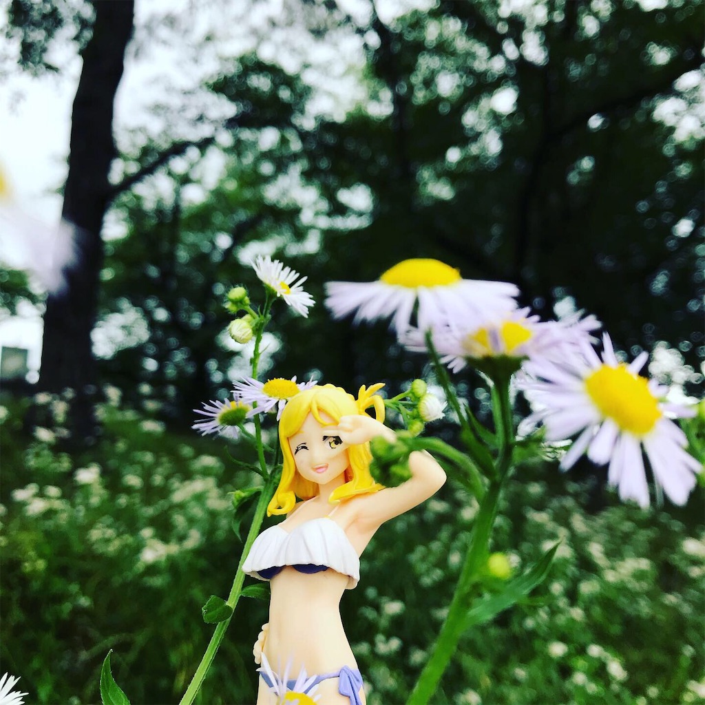 f:id:drumdk49:20190608172613j:image f:id:drumdk49:20190608172613j:image