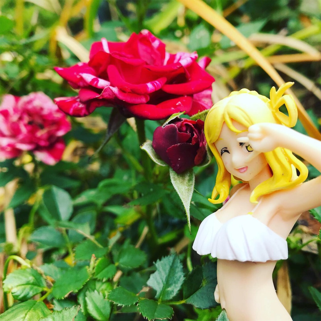 f:id:drumdk49:20190610174041j:image f:id:drumdk49:20190610174041j:image