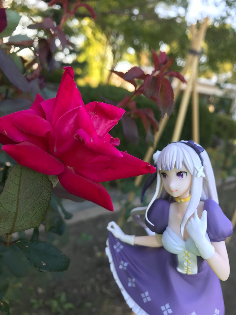f:id:drumdk49:20191105234218j:image f:id:drumdk49:20191105234218j:image