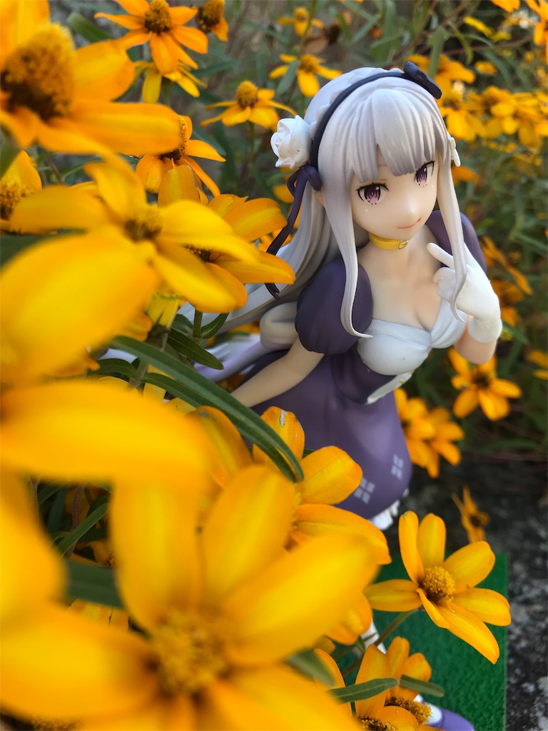 f:id:drumdk49:20191105234222j:image f:id:drumdk49:20191105234222j:image