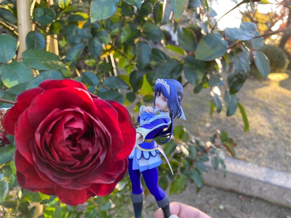 f:id:drumdk49:20191213173432j:image f:id:drumdk49:20191213173432j:image
