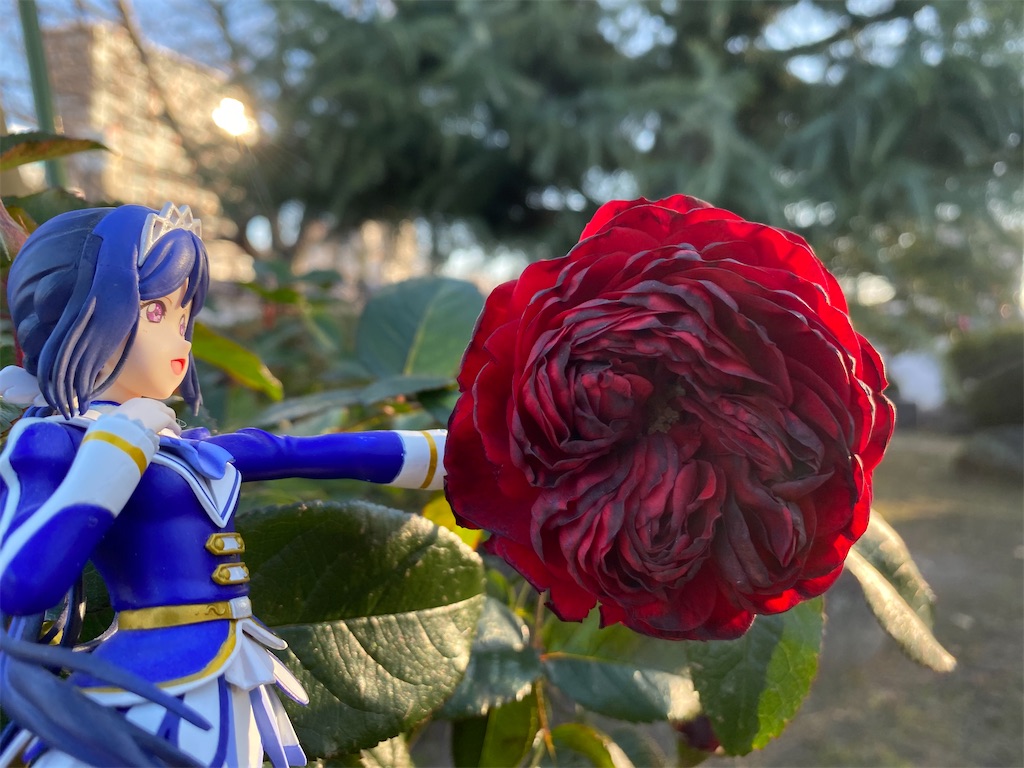 f:id:drumdk49:20191213173436j:image f:id:drumdk49:20191213173436j:image