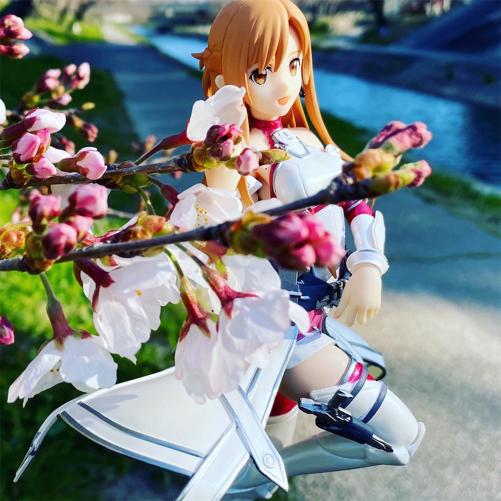 f:id:drumdk49:20200324164055j:image f:id:drumdk49:20200324164055j:image