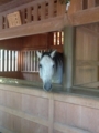 f:id:drunk_bison:20131225130735j:image:medium