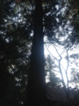 f:id:drunk_bison:20131225151342j:image:medium