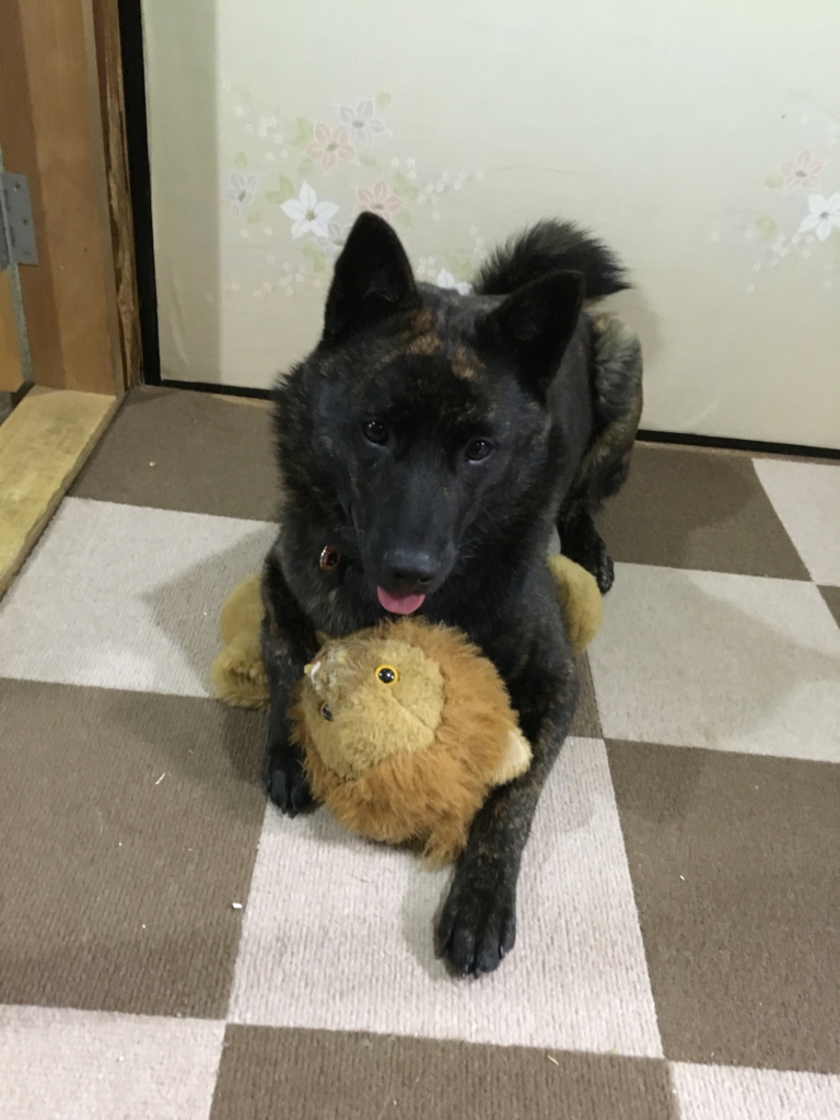 f:id:drunkard_kim:20160624192119j:plain