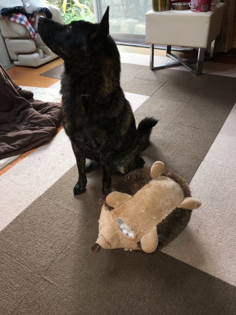 f:id:drunkard_kim:20161110082509j:plain