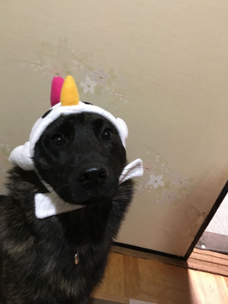 f:id:drunkard_kim:20161115095154j:plain