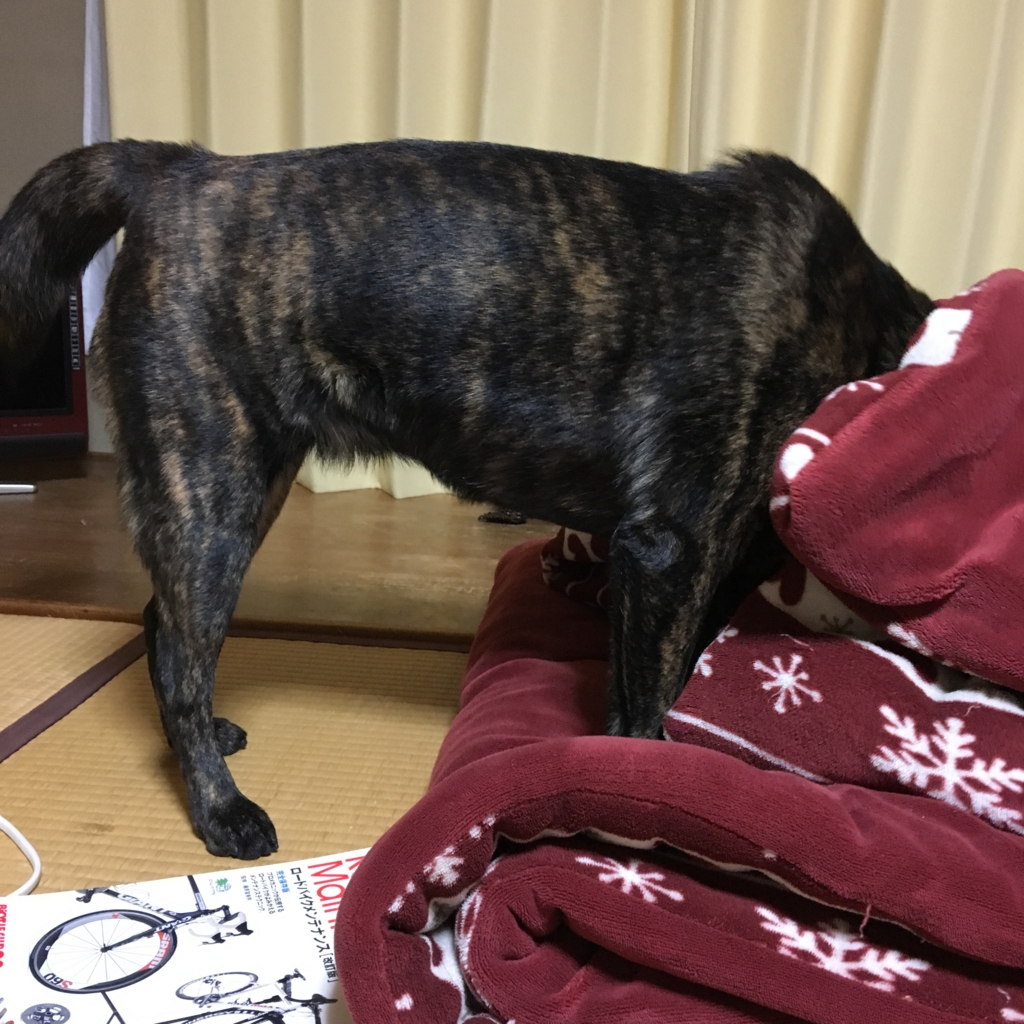 f:id:drunkard_kim:20170121122518j:plain