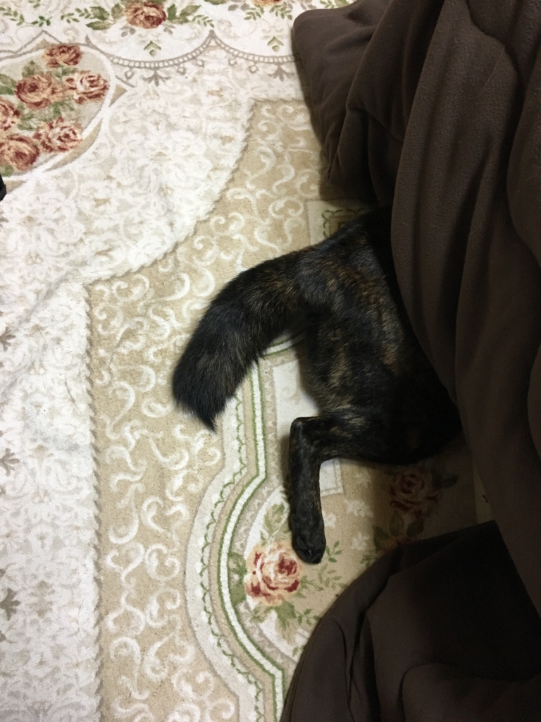 f:id:drunkard_kim:20170209074101j:plain f:id:drunkard_kim:20170209074101j:plain