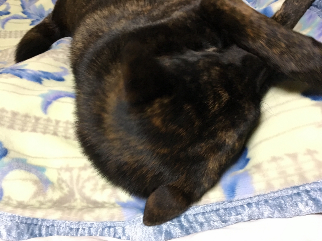 f:id:drunkard_kim:20170210081156j:plain f:id:drunkard_kim:20170210081156j:plain