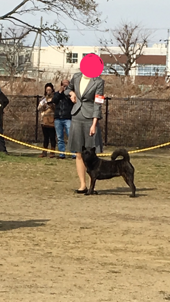 f:id:drunkard_kim:20170226221307p:plain