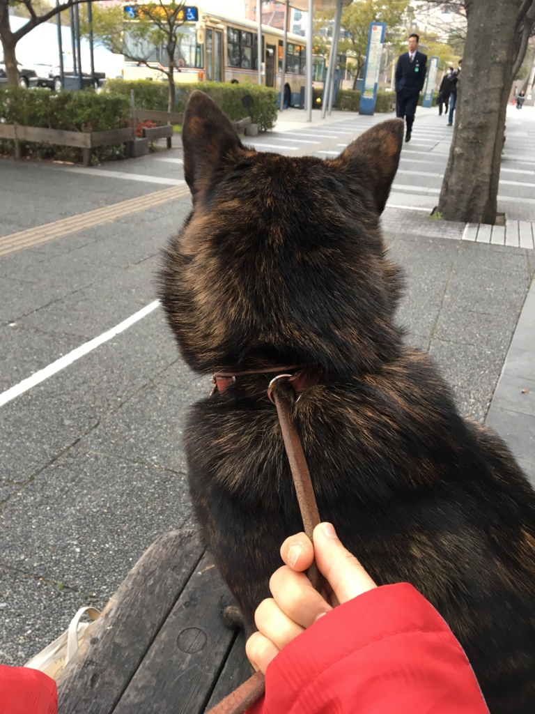 f:id:drunkard_kim:20170314084834j:plain
