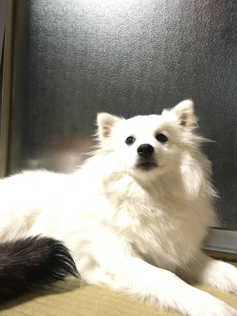 f:id:drunkard_kim:20170321192003j:plain