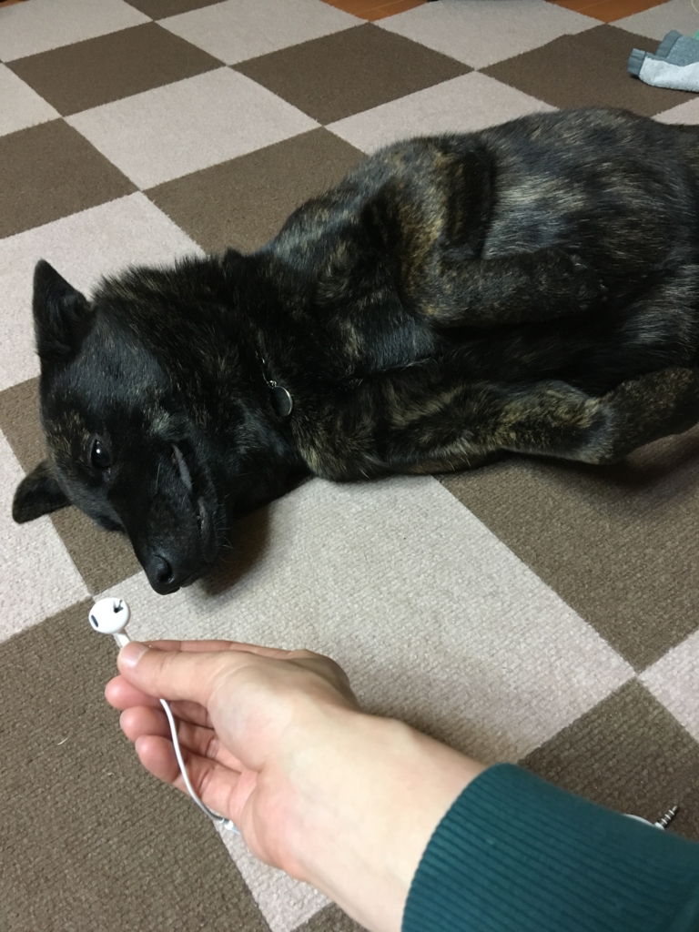 f:id:drunkard_kim:20170412075251j:plain