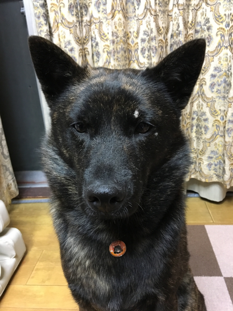 f:id:drunkard_kim:20170424080030j:plain