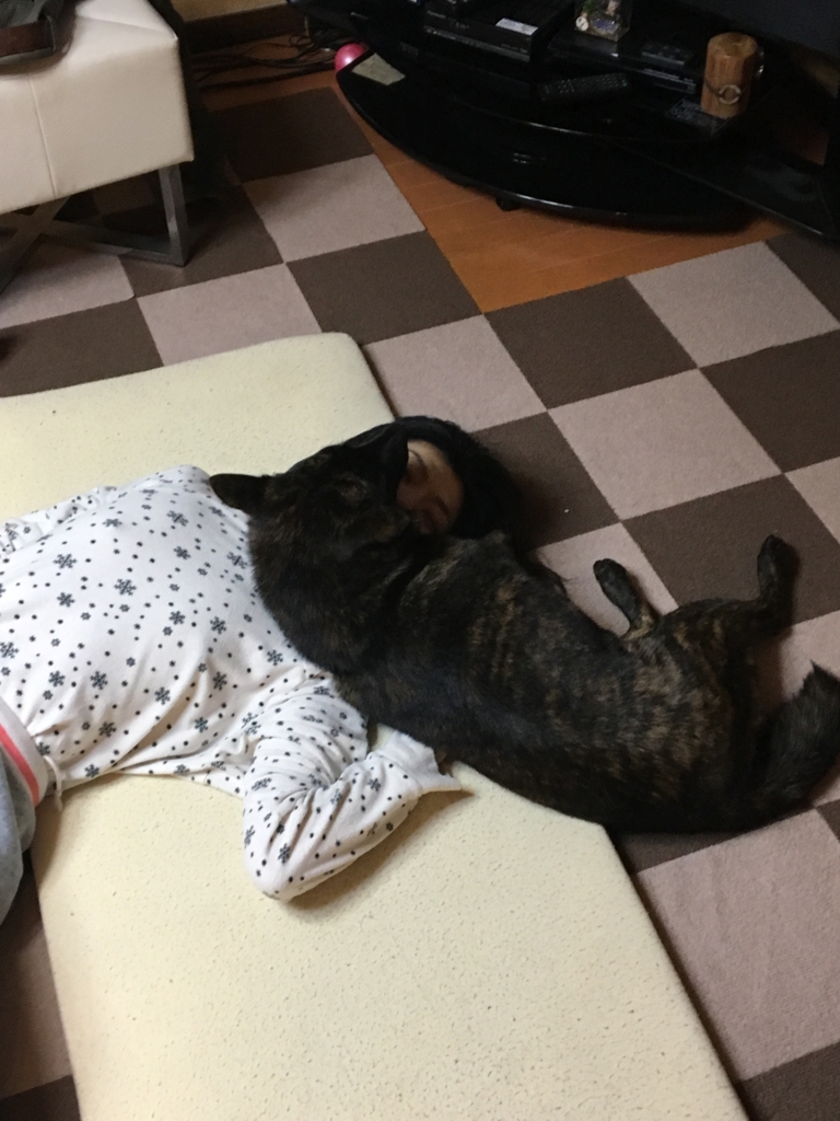f:id:drunkard_kim:20170426074510j:plain