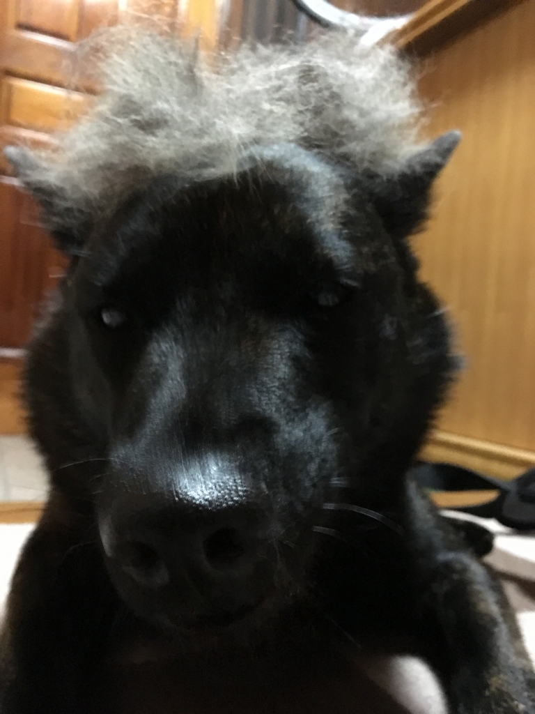 f:id:drunkard_kim:20170523084957j:plain