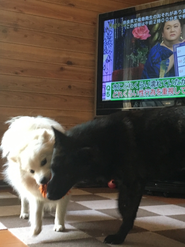 f:id:drunkard_kim:20170607074841j:plain f:id:drunkard_kim:20170607074841j:plain