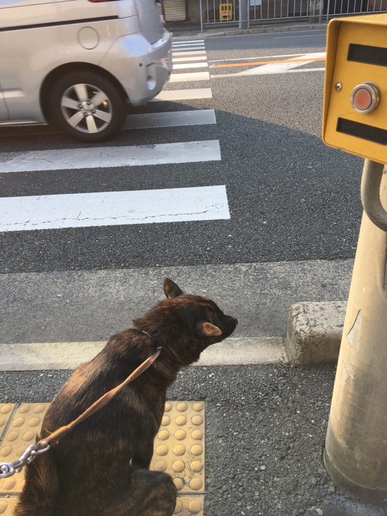 f:id:drunkard_kim:20170610074410j:plain