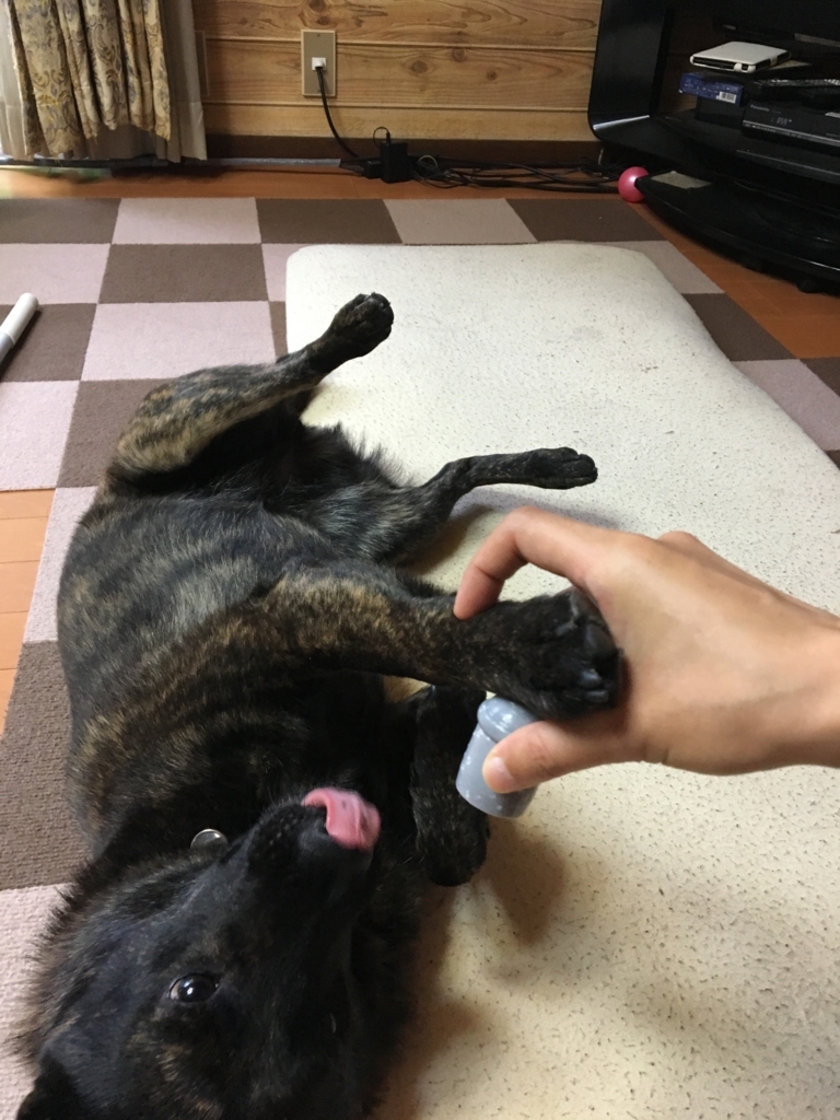 f:id:drunkard_kim:20170701075540j:plain