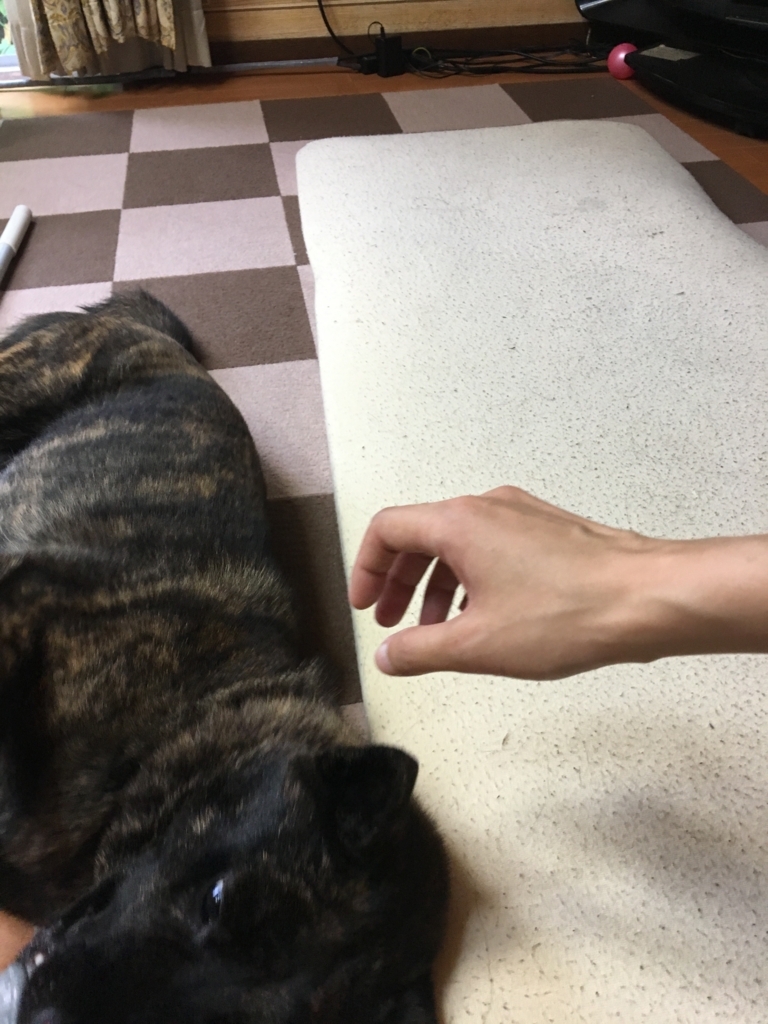 f:id:drunkard_kim:20170701075645j:plain