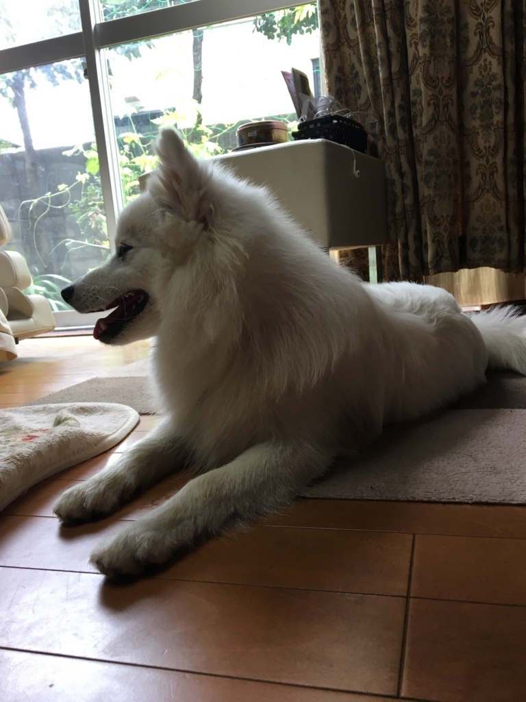 f:id:drunkard_kim:20170705075904j:plain