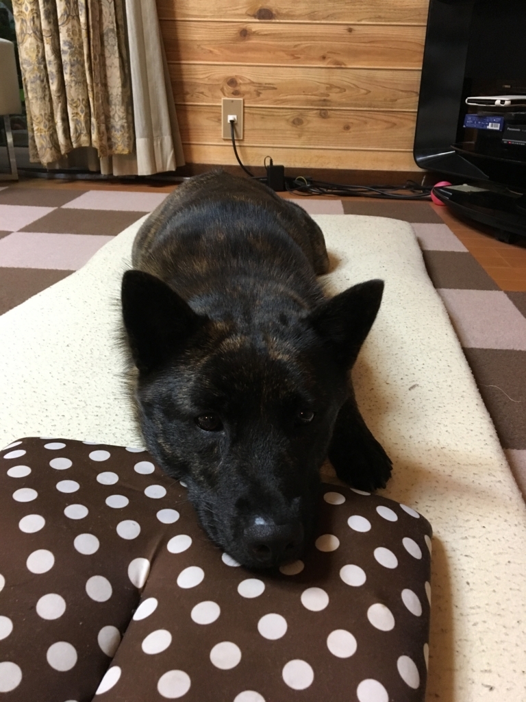 f:id:drunkard_kim:20170706081713j:plain