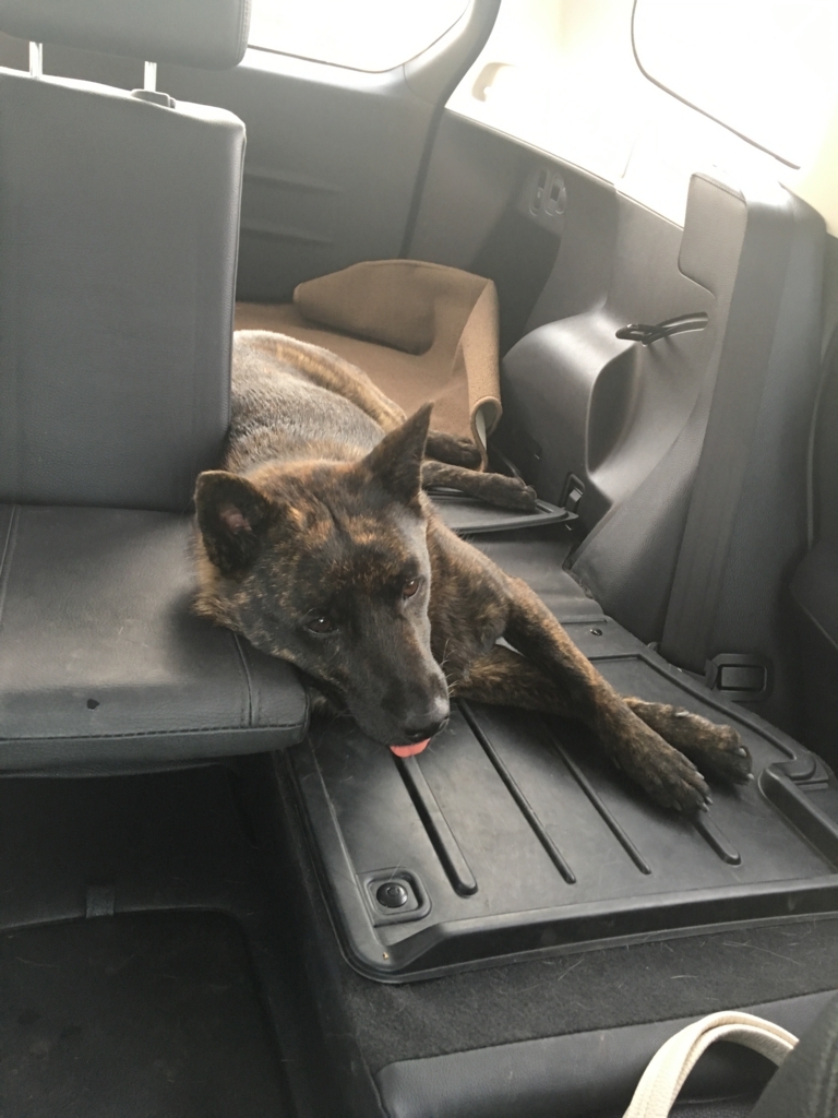 f:id:drunkard_kim:20170708074634j:plain