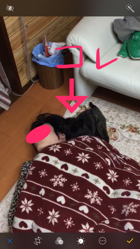 f:id:drunkard_kim:20170729123245p:plain