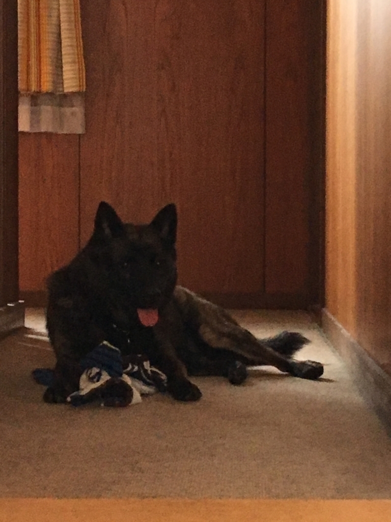 f:id:drunkard_kim:20170813200451j:plain