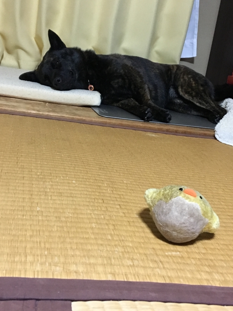 f:id:drunkard_kim:20170814074056j:plain